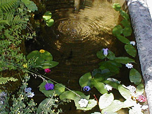 brunnen
