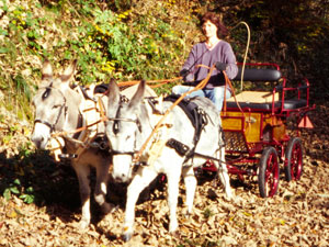 eselwagen